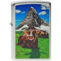 Zippo Lighter - Swiss Cow