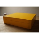 Beginner's Cigar Humidor in Yellow Finish